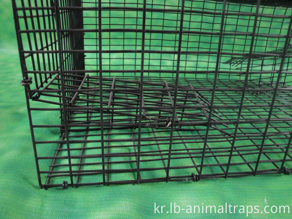 Easy Set Resusable Humane Live Animal Catch Cage Traping Rachoons, Thant, 토끼